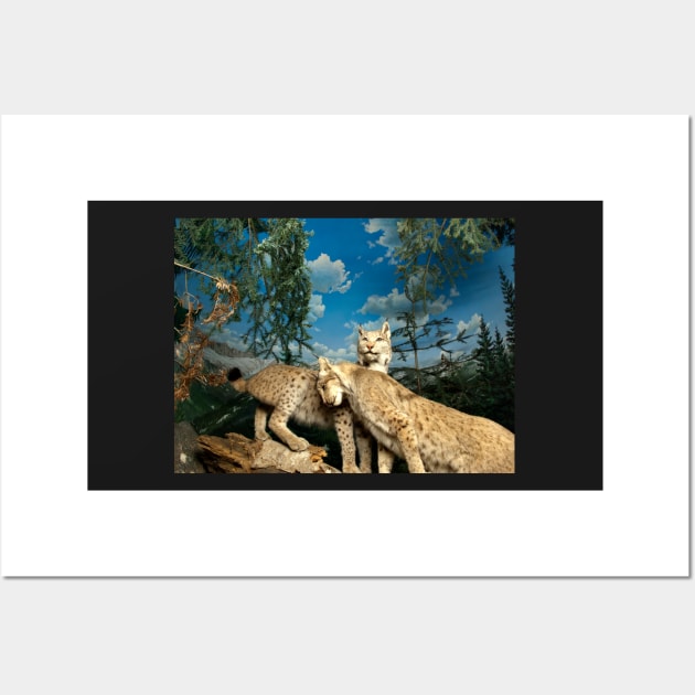 Natural environment diorama - two leopards Wall Art by Reinvention